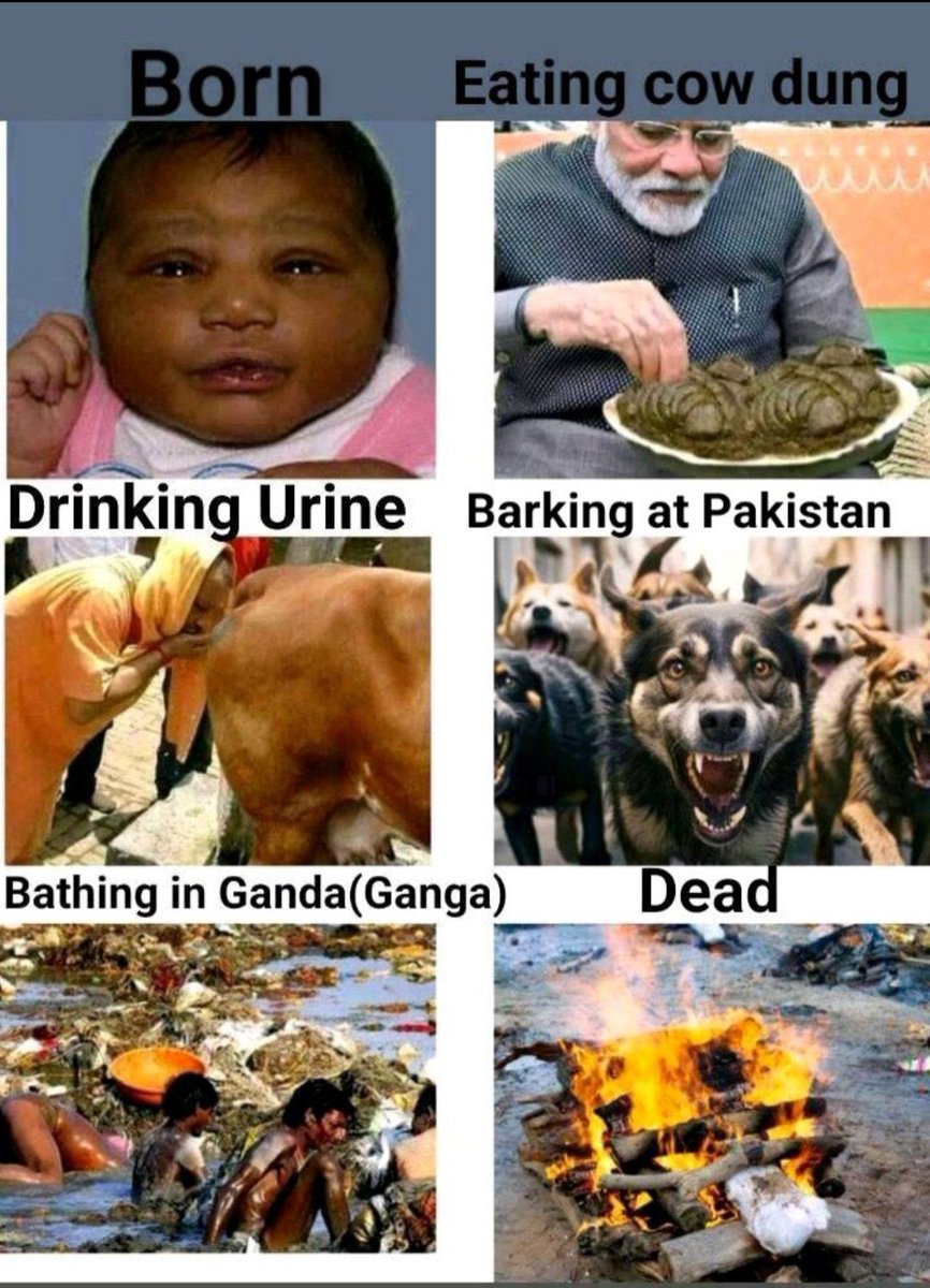 Ranjeet Panjeet tweet media