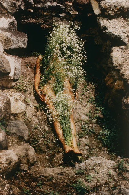 apart_trapa's tweet photo. 📷 Ana Mendieta, Imágen de Yágul 1973
#apart #photography #performative #aestheticmodernism #trapa https://t.co/KXx2vxtbEZ