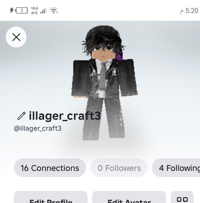 illager craft tweet media