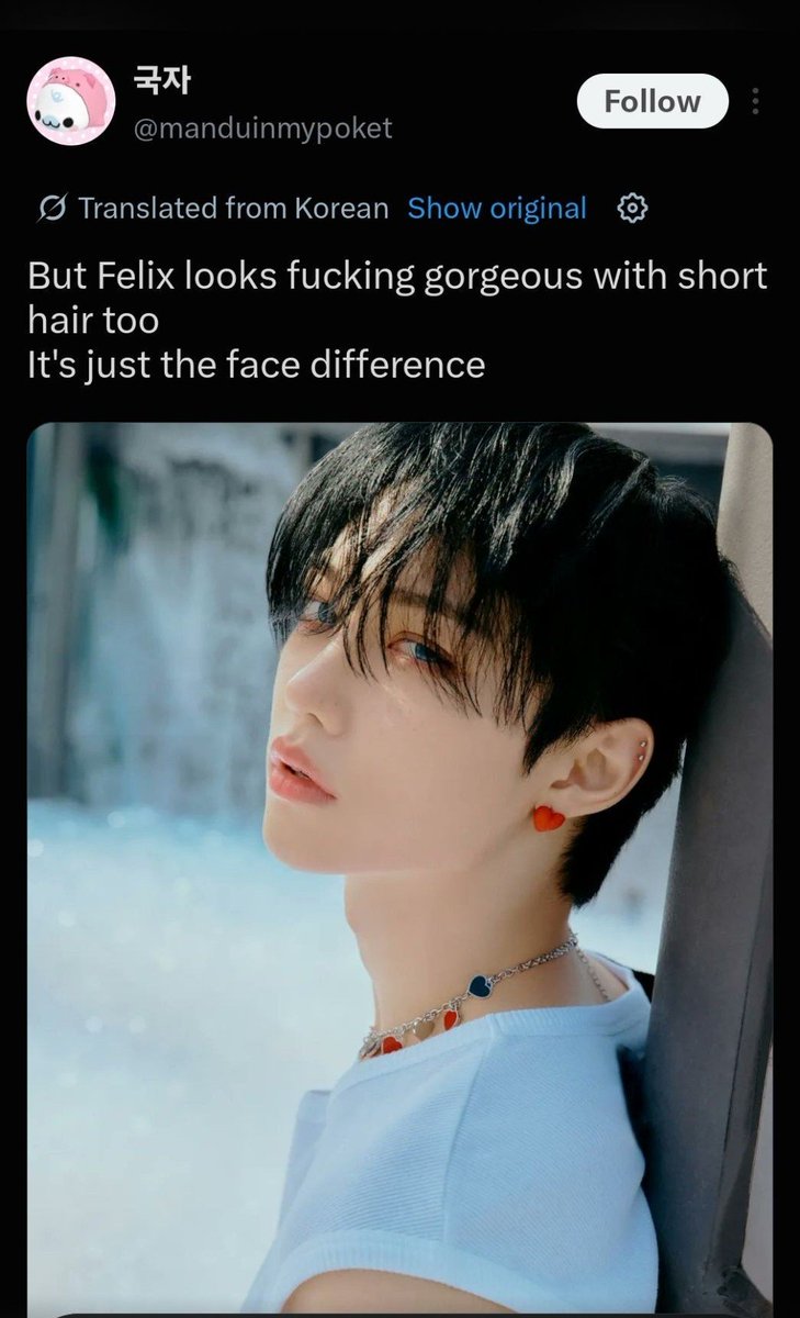 AminoHenecia's tweet photo. This eejit thinking her fellow pixies are Korean netizens meanwhile @manduinmypoket is literally a pixie asking them to redirect Felix hate to HJ. https://t.co/z9Pi2kOTH1