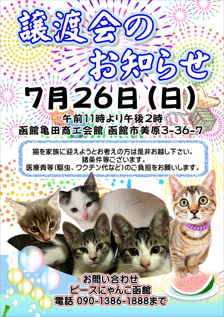 nekomama (@nekomama819) / Posts / X