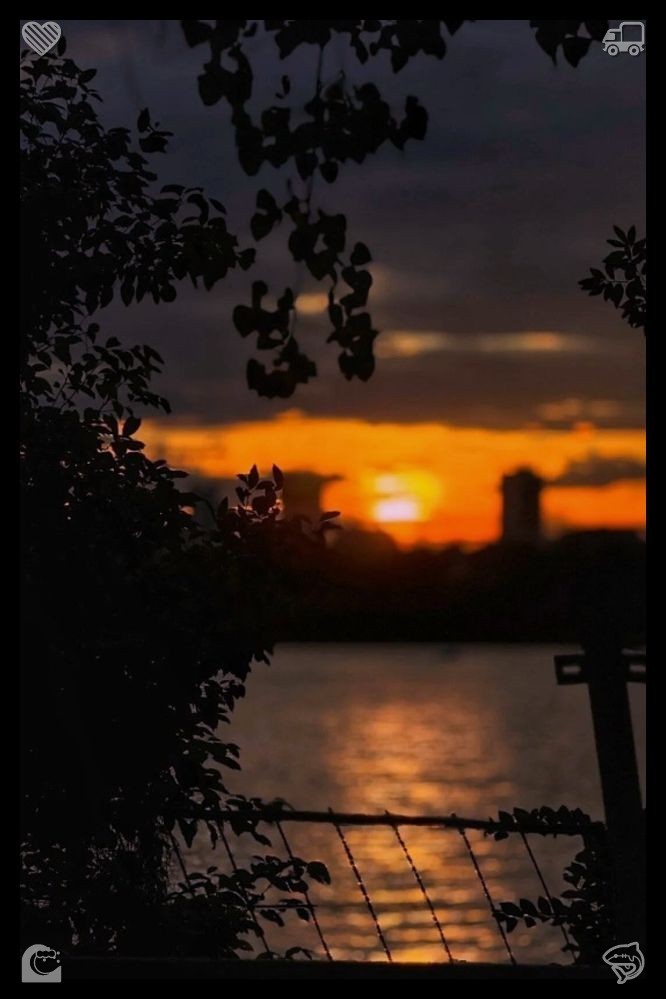 Kissme629's tweet photo. Don't be afraid to begin anew with nothing. Starting empty-handed opens the door to endless fresh opportunities. Each skill you master and every challenge you conquer builds a strong foundation for the life you desire. 🌟Always let your heart be filled with genuine love. https://t.co/0N5dAImIL7