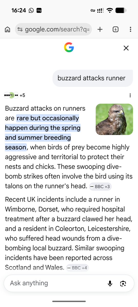 grthclrk's tweet photo. So I guess I'm a statistic now. FFS. #buzzard #attack #runner I didn't have getting dive bombed by a buzzard on my bingo card today. https://t.co/1SJBohbXPK