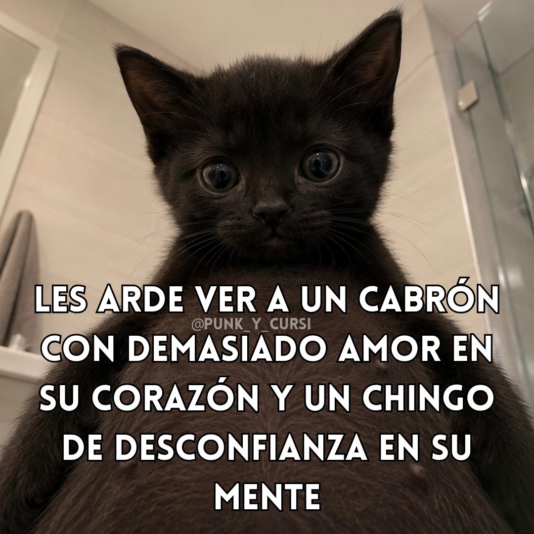 punk_y_cursi's tweet photo. 🦇🦇🦇🦇 https://t.co/ecgd3BvmYD