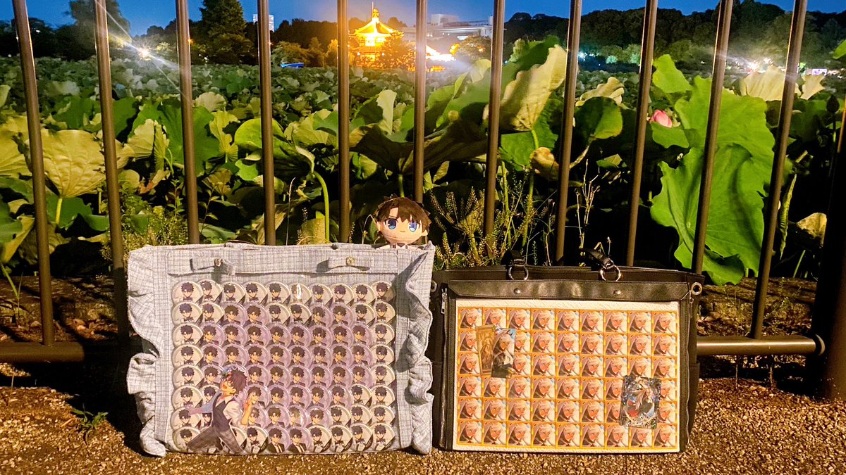 yagi_46's tweet photo. https://t.co/l9djv0OvRh