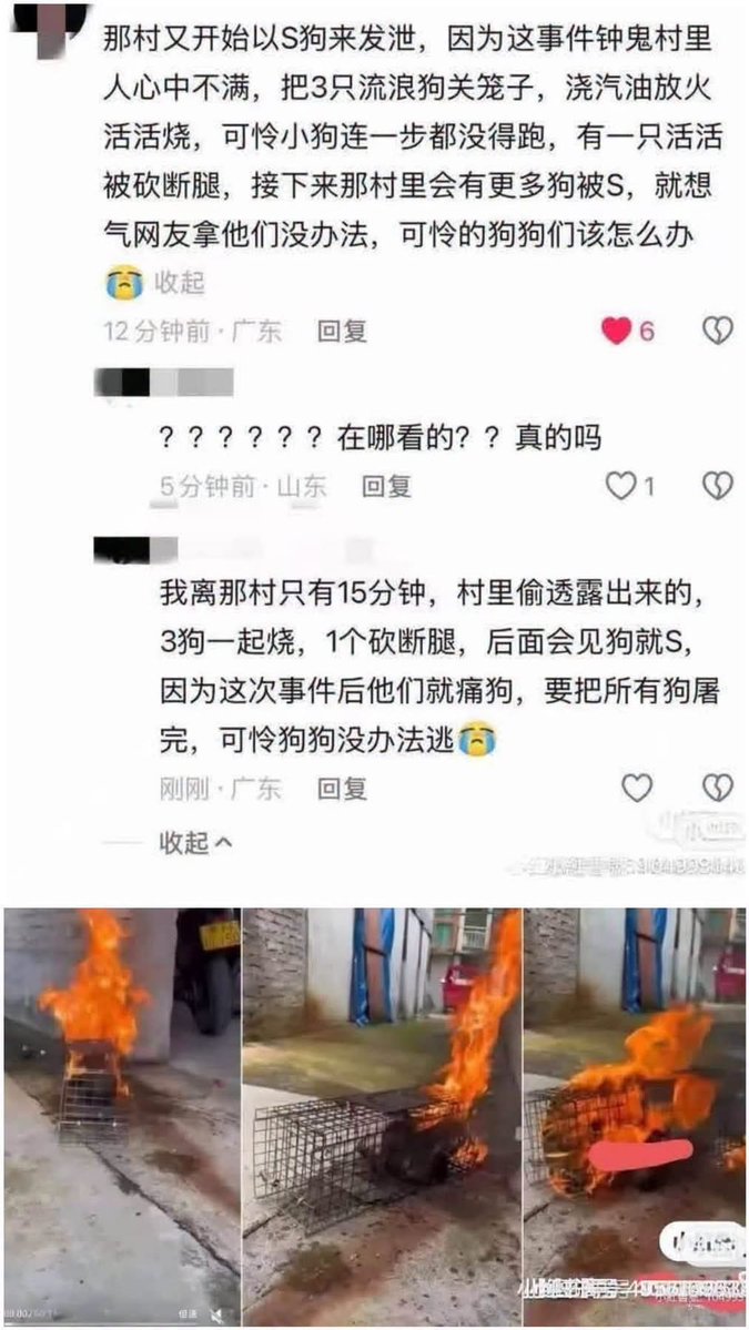 hk2019freehk's tweet photo. 轉 #旺旺 #wangwang https://t.co/3qXP6WzX07