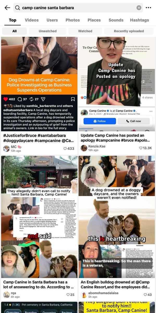 Menememes's tweet photo. @DevmanG2 People are talking about the dog (Bruce) on tiktok the story is becoming viral, justice for $Bruce and bond it

7mojaWcCCEcuQfi8SkyRtEewUrUQnA7oRaF31wb1pump https://t.co/wl8fzesvQv