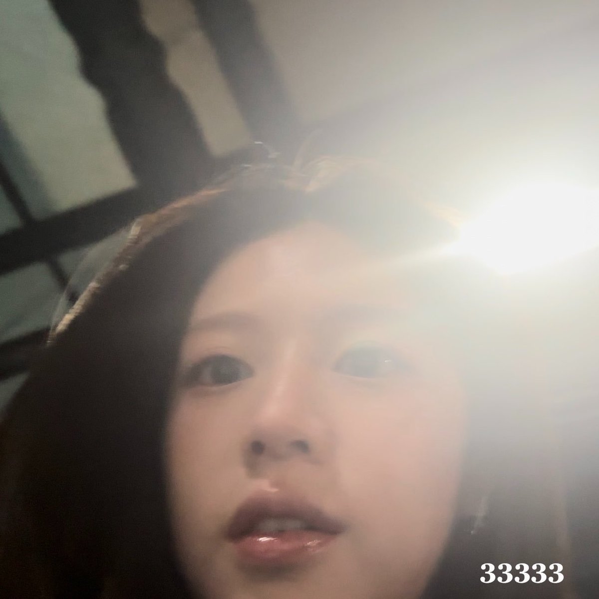 Reireireily's tweet photo. They're multiplying https://t.co/tkOPi4F03i