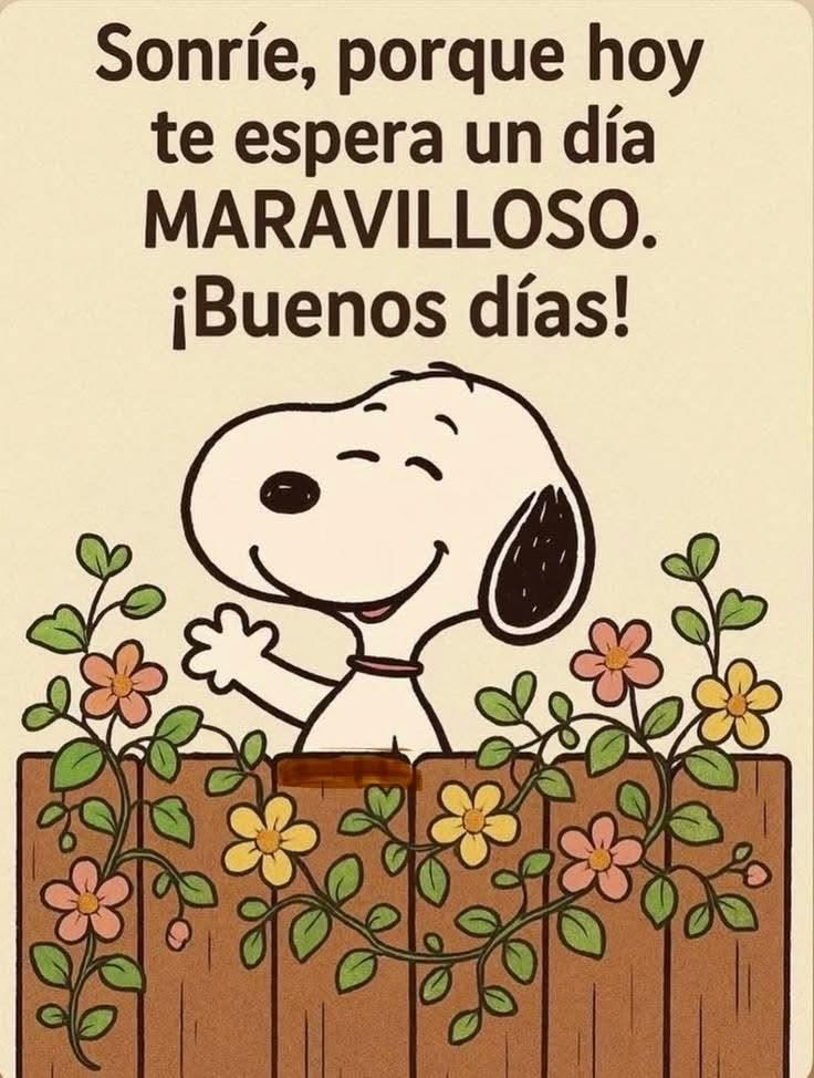 bethy_abc's tweet photo. https://t.co/TkwQ2eHydR