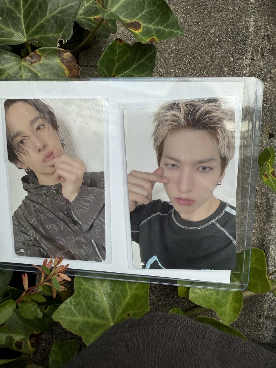 02180206max's tweet photo. JO1DER SHOW 2026 ‘EIEN 永縁’ FINAL
カプセルトイ トレカ 交換　特典
交換希望

【譲】
佐藤　金城　162

【求】白岩  162

7/20手渡し優先　郵送🉑

#JO1譲 #JO1求 #JO1交換 #JO1DERSHOW https://t.co/5LDCJRc1hh