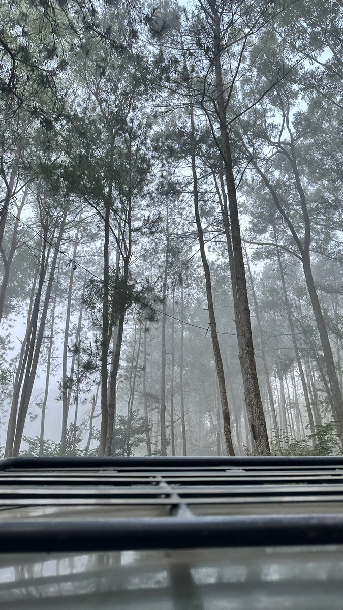 leen8255's tweet photo. ☁️🌿 https://t.co/uN2mY10X9h