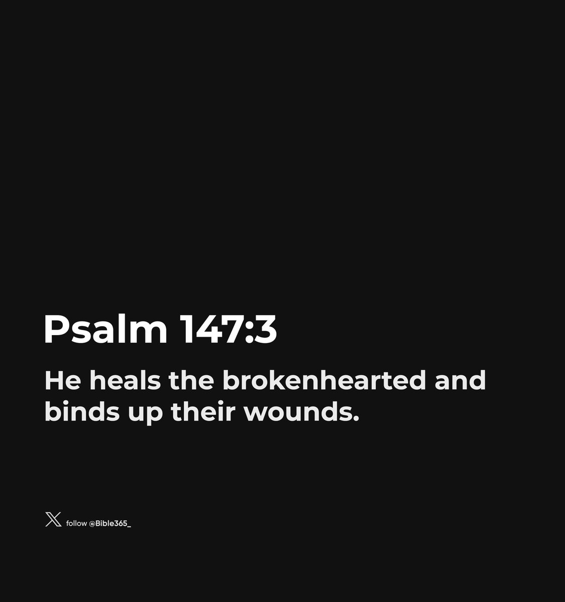 Bible 365 tweet media