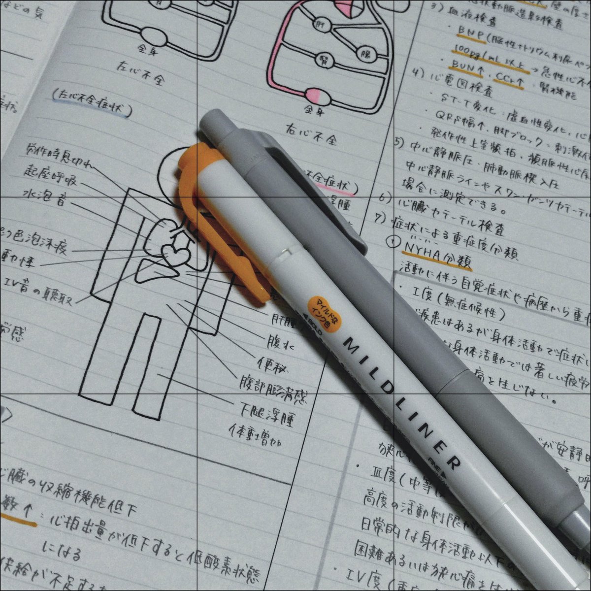 勉強