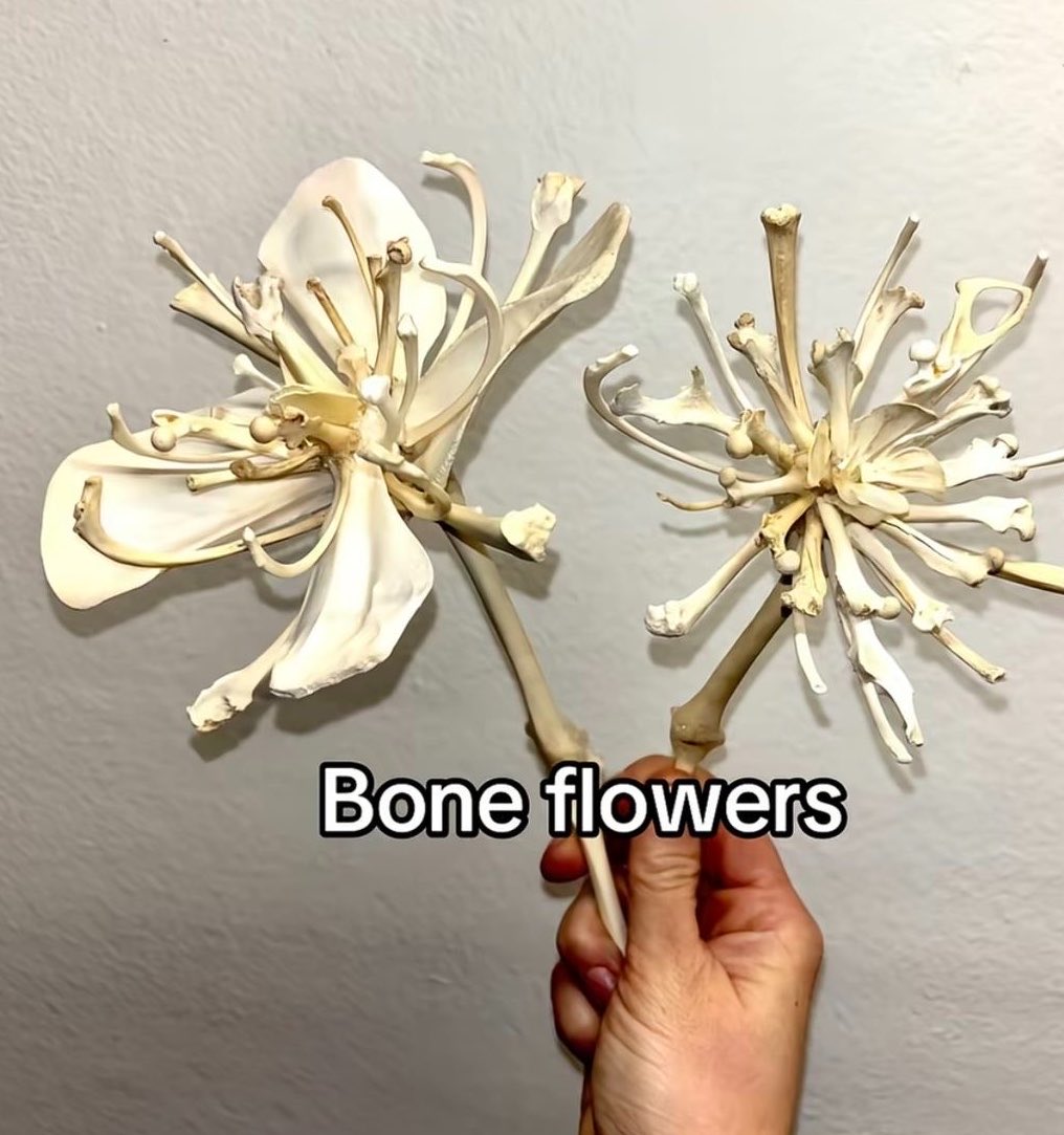 dollf4ngs's tweet photo. eren if he were a flower https://t.co/OrsUpf9B0F