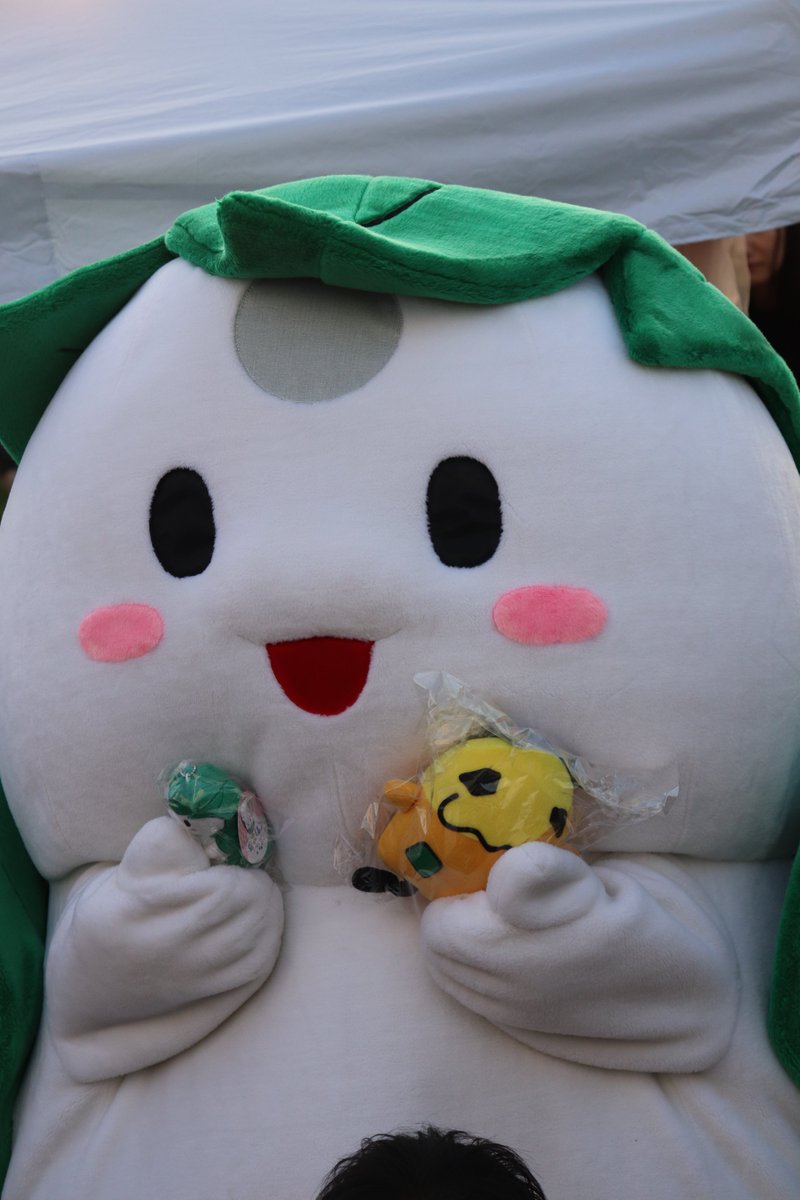 くわまるを詰め合わせておく😌🎈 横から見ても背中を見てもとても