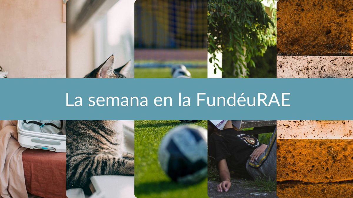 FundéuRAE tweet media