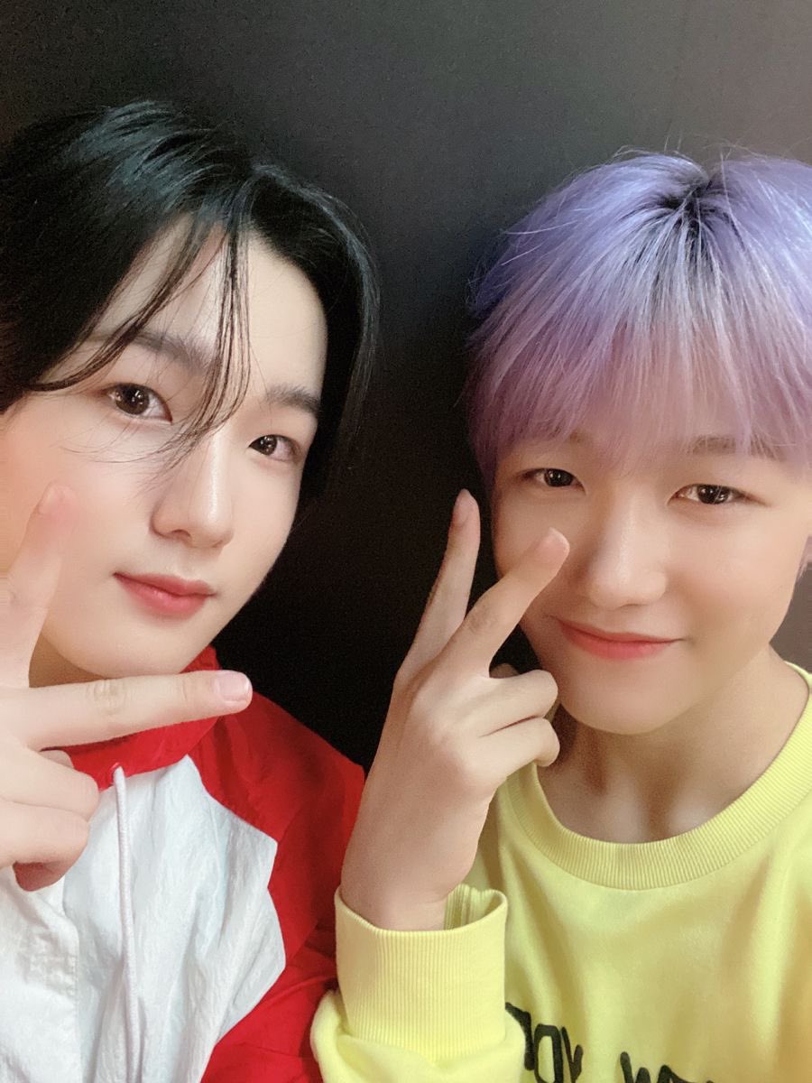 thep1ececafe's tweet photo. (˶ˆᗜˆ˵)  order of monkey cake coming up !!

☆┇to @j_art_ess 
♡┇from anonymous 

„　this is from jongsegg to shobread 🥰　“ ( ᴗ͈ˬᴗ͈)ഒ https://t.co/oSSCqjnKXJ
