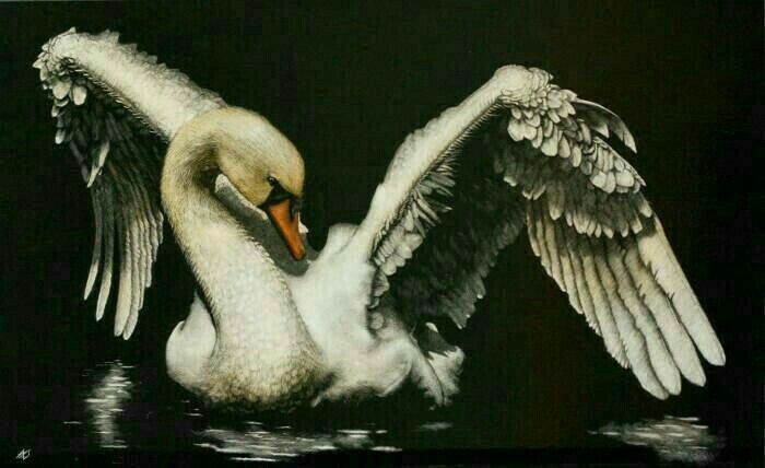 EdythHeber15650's tweet photo. you stopped scrolling didn''t you 😈🫦 https://t.co/GWrxuT77FW