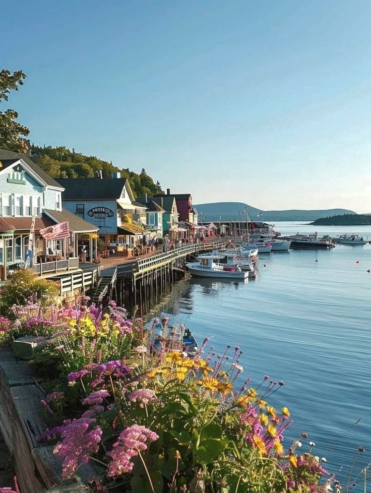 silenttearthh's tweet photo. Bar Harbor, Maine https://t.co/4REoadt3fW