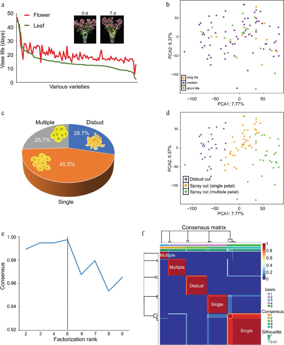 MaximumAcademic's tweet photo. #gCommo
Deep learning on seedling transcriptome data predicts adult phenotypes in chrysanthemum—validated in rice, enabling gene chip-based breeding for complex-genome crops
@PGSB_Helmholtz @GenomeBiology #DeepLearning #Genomics #Transcriptomics
Details: https://t.co/fCP8dtQBIX https://t.co/WYXugc5fXL