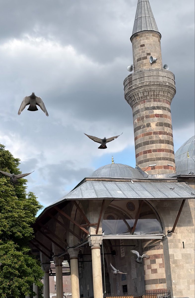 1mervectl's tweet photo. Balonlu Erzurum dump 🎈 https://t.co/EZibiDDK8c