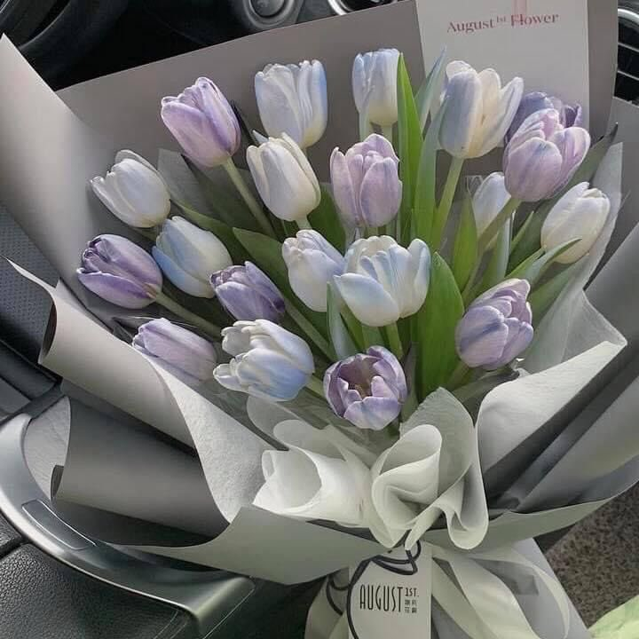 lavieestbelIe's tweet photo. Tulips 💗 https://t.co/0qjo6nsDB6