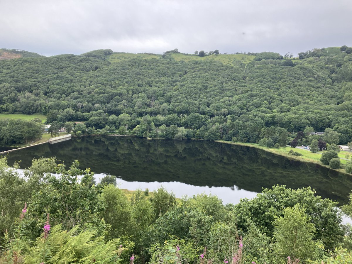 BrammyOwl's tweet photo. @MrTimDunn @greensignallers @railnigel Lovely railway with fantastic views. We did it last year. Booked the first class saloon as a treat and had it all to ourselves!! https://t.co/z1QX4vNFPI