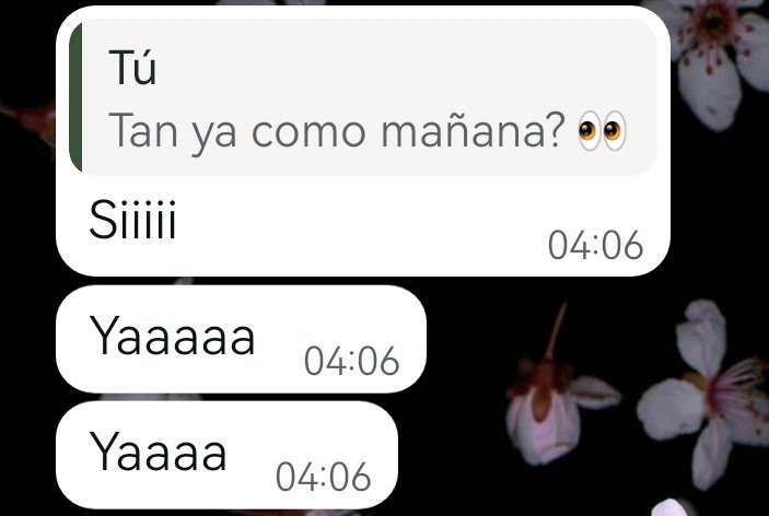 Sofi_dlao's tweet photo. Y si,sí? JAJAJAJA https://t.co/MWdznb1B6V