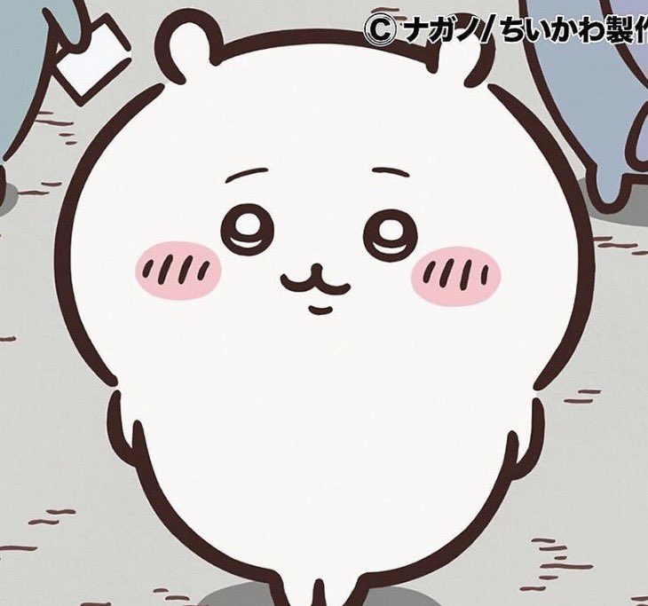24_hlq's tweet photo. @TuBa_buuu https://t.co/Z3ybRxW6xP