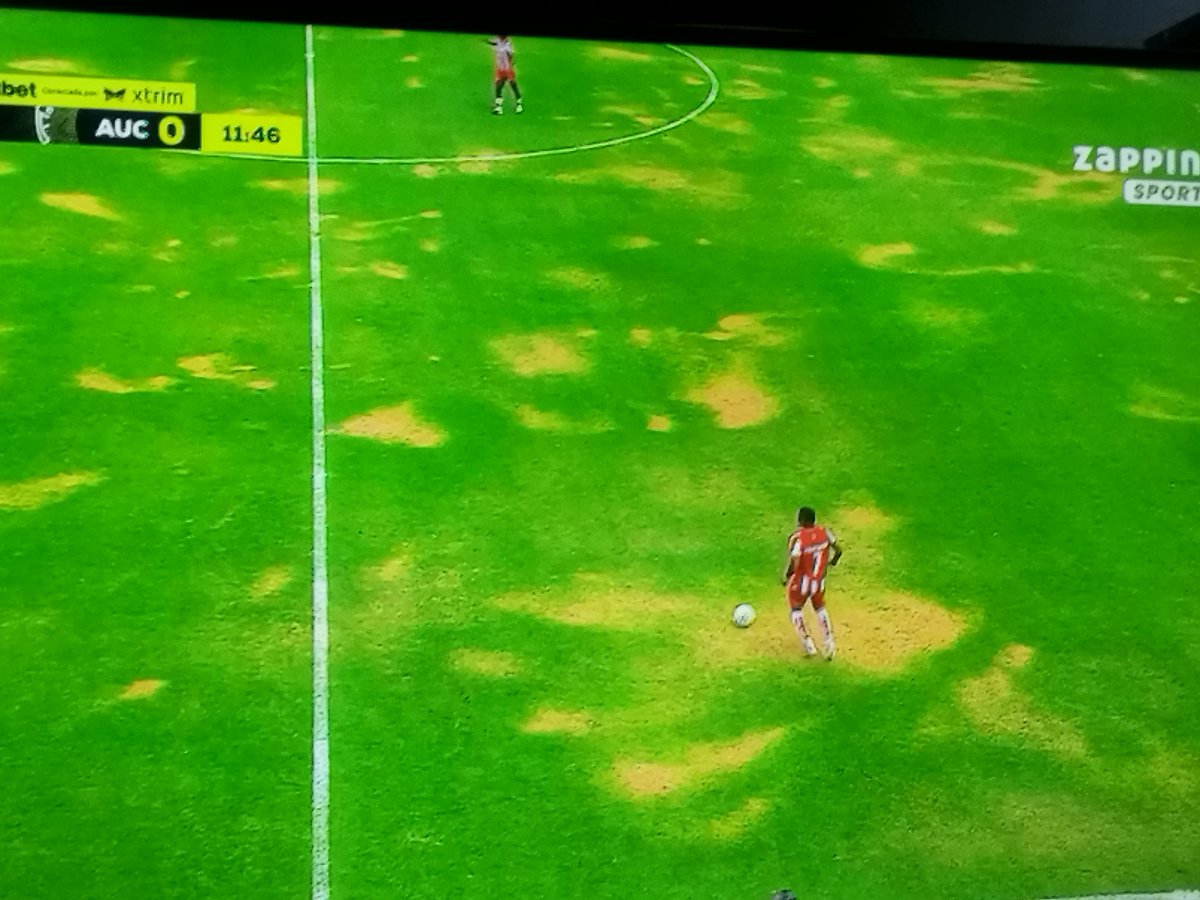 DIEGORACINES1's tweet photo. La cancha del Bellavista a simple vista es un desastre @LigaEcuabetec debe cuidar el espectáculo "LigaTop" https://t.co/klbExrMwIW