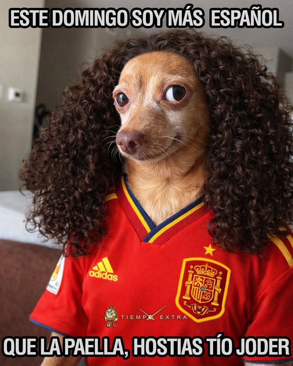 MadreSemestrosa's tweet photo. ⚽️😂🤣 https://t.co/ThHgDe01gi