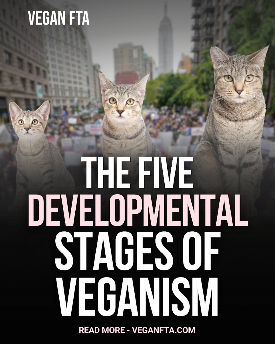 Vegan FTA tweet media