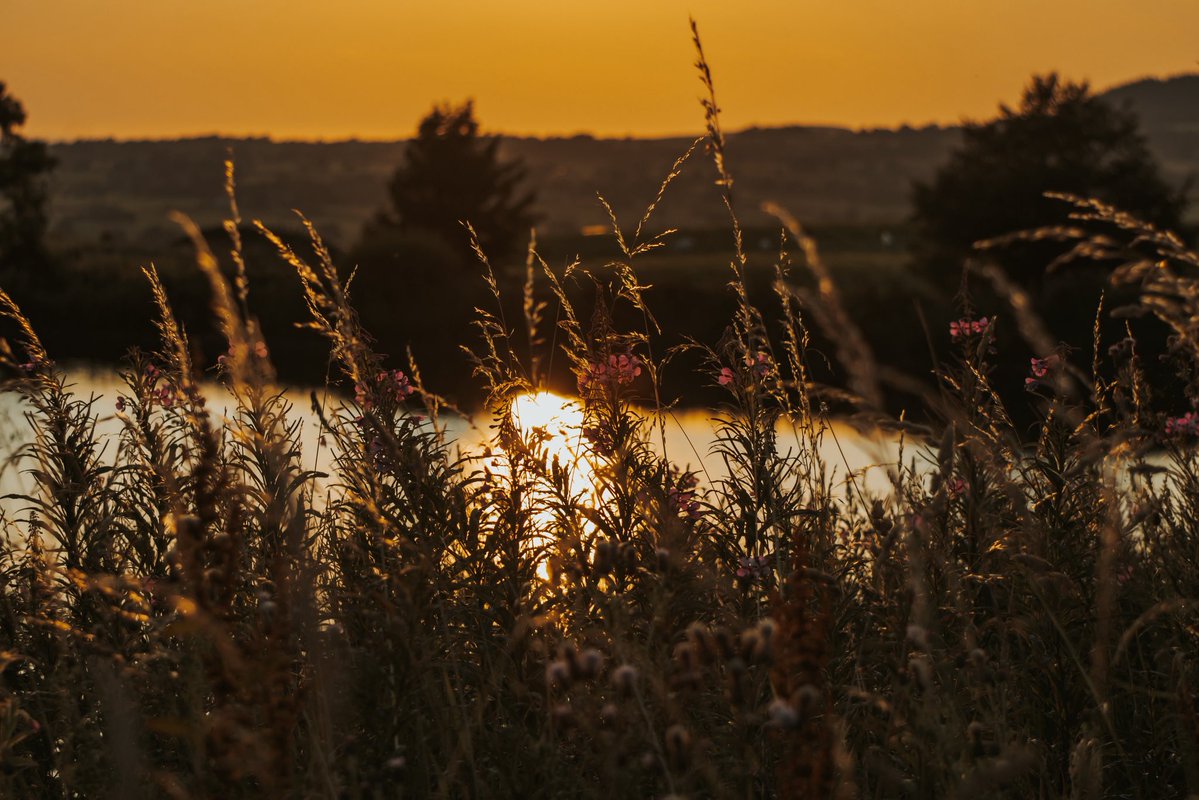 withmarkuk's tweet photo. Golden hour, quiet soul. 🌅 https://t.co/elkATXOuQS