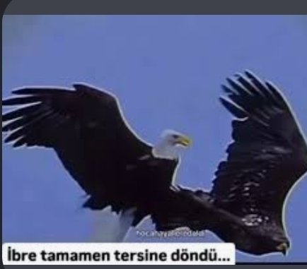 Aquu🇹🇷 tweet media
