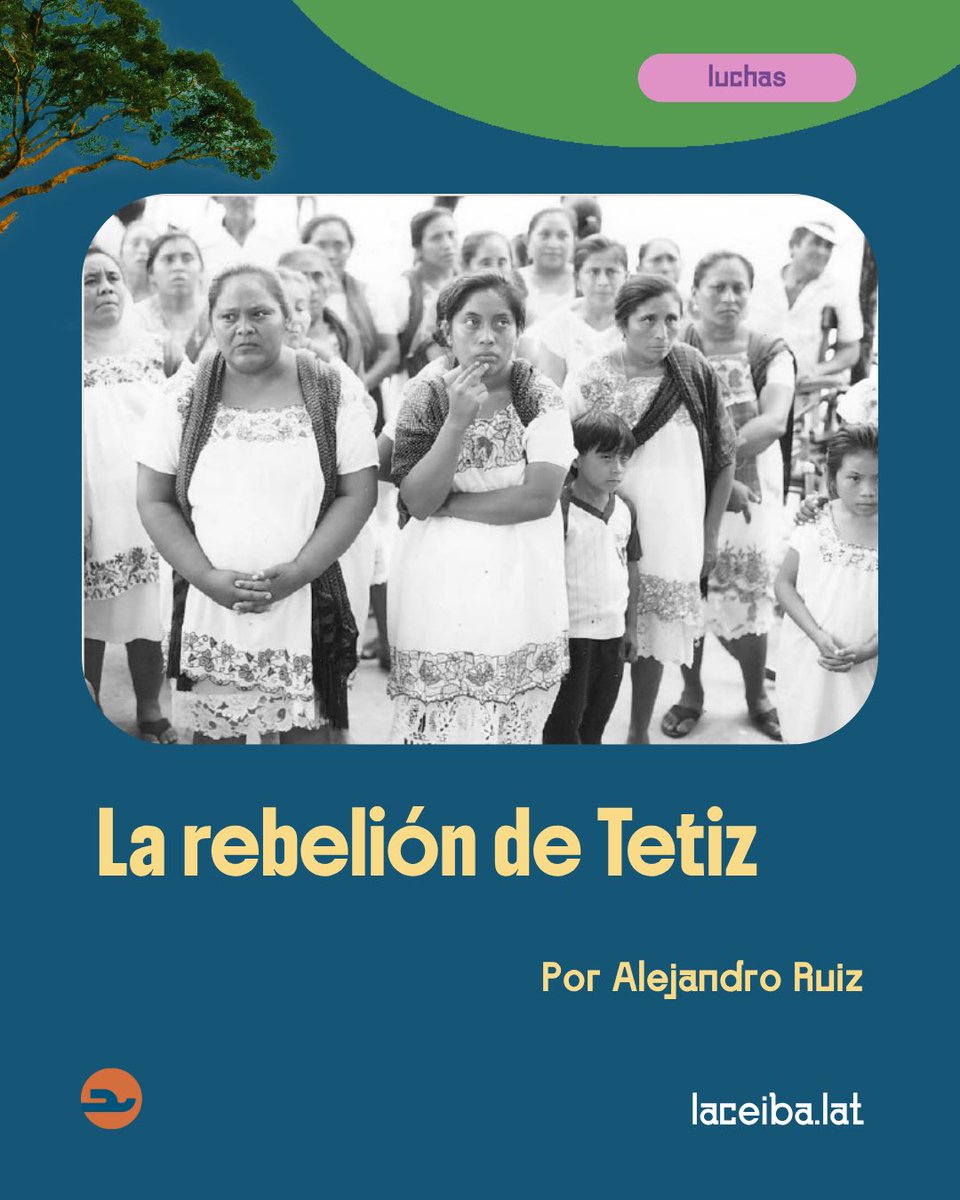 LaCeiba_Lat's tweet photo. 👉 Te invitamos a leer todas las notas de la semana en nuestra página web: https://t.co/sMC1uvbA5l
#PueblosOriginarios #PastaDeConchos #Oaxaca #GuardiaComunal #Ostula #Sindicatos #Yucatán #México
❤️🩹 Venezuela necesita de nuestra solidaridad, haz tu aporte aquí: https://t.co/NEsWRAQZVF