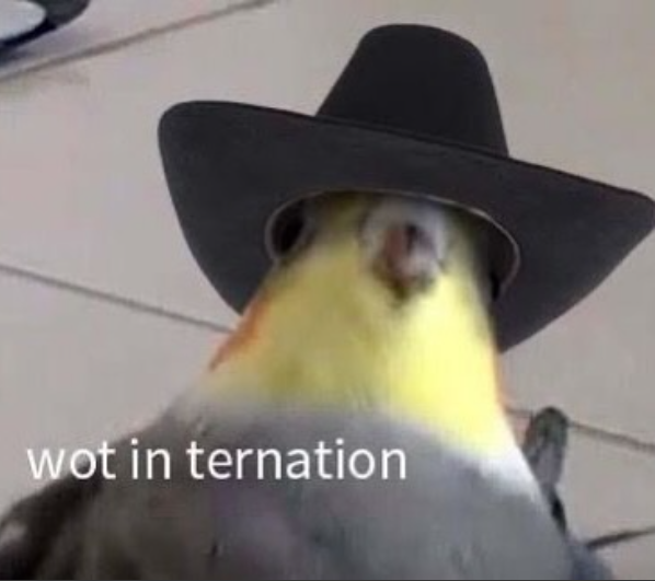 𝓵𝓸𝓰𝓪𝓷🥀 tweet media