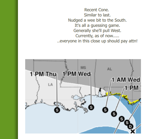 BobbiStorm's tweet photo. my thoughts... this area "close up and personal" everyone should be watching this is a storm in the process of forming... while it's "stationary" nothing is static so stay tuned... https://t.co/XLVVLmtkcS updated info in blog   TD2 Spins.... owns the Eastern Gulf! https://t.co/f9jJ1SPKri