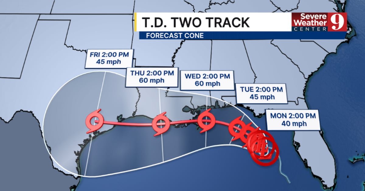 WFTV Channel 9 tweet media