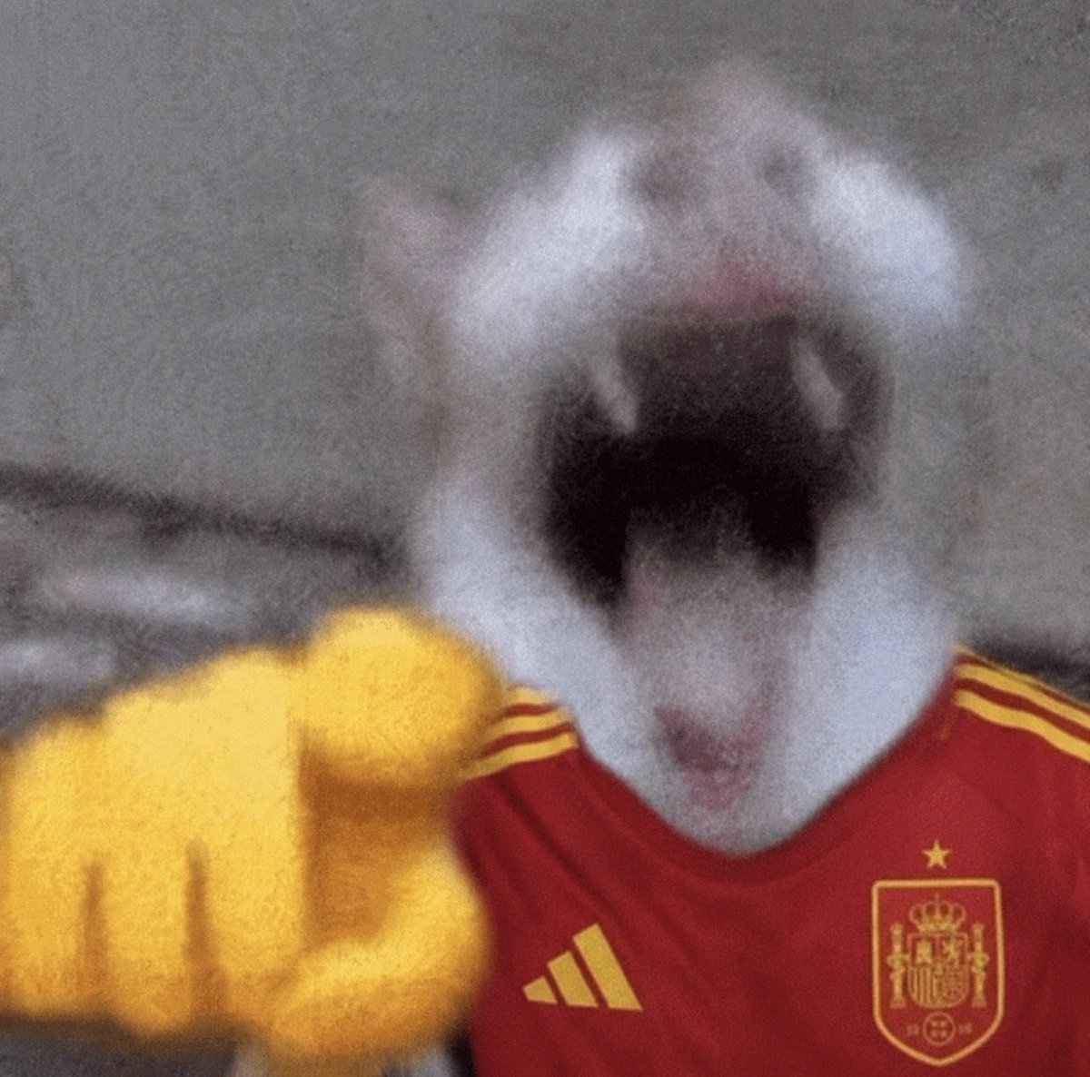 NevilleTubbs's tweet photo. @Argentina https://t.co/qm5BLGAPGO
