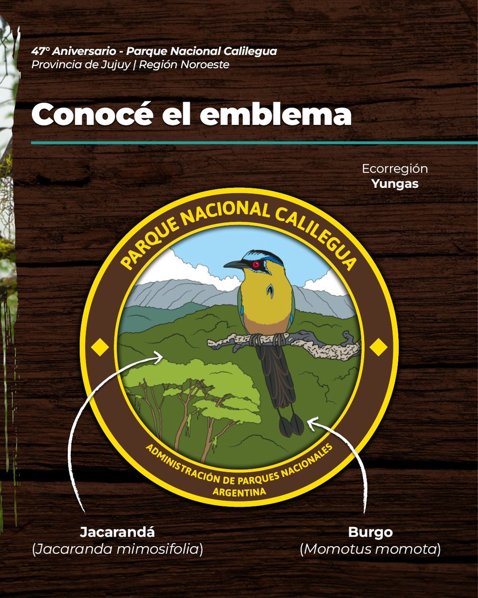 ParquesOficial's tweet photo. 🌱 ¡El Parque Nacional Calilegua festeja su 47º aniversario! 🥳

📍 Se encuentra ubicado en la provincia de Jujuy, fue creado en 1979 y es la mayor área de conservación de la ecorregión de las Yungas. https://t.co/Nk7ECk32zU