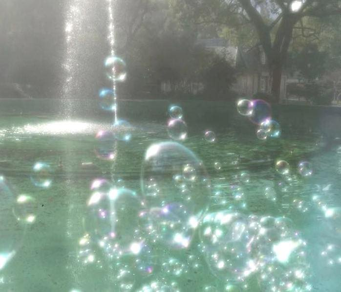 petalesblancs's tweet photo. when sunlight turns bubbles into rainbows https://t.co/ddm3nVFiUW
