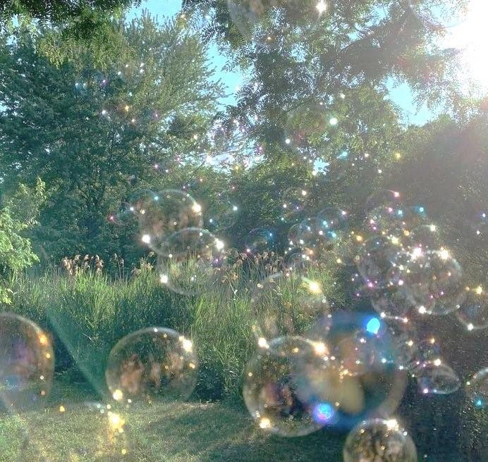 petalesblancs's tweet photo. when sunlight turns bubbles into rainbows https://t.co/ddm3nVFiUW