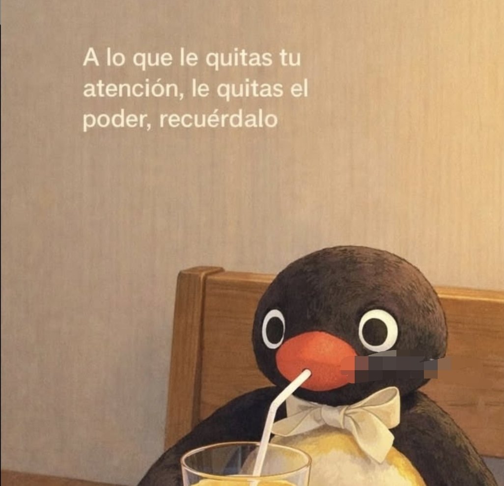 navarro tweet media