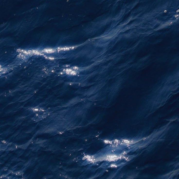 petalesblancs's tweet photo. shades of blue https://t.co/OM9j1mmwFx