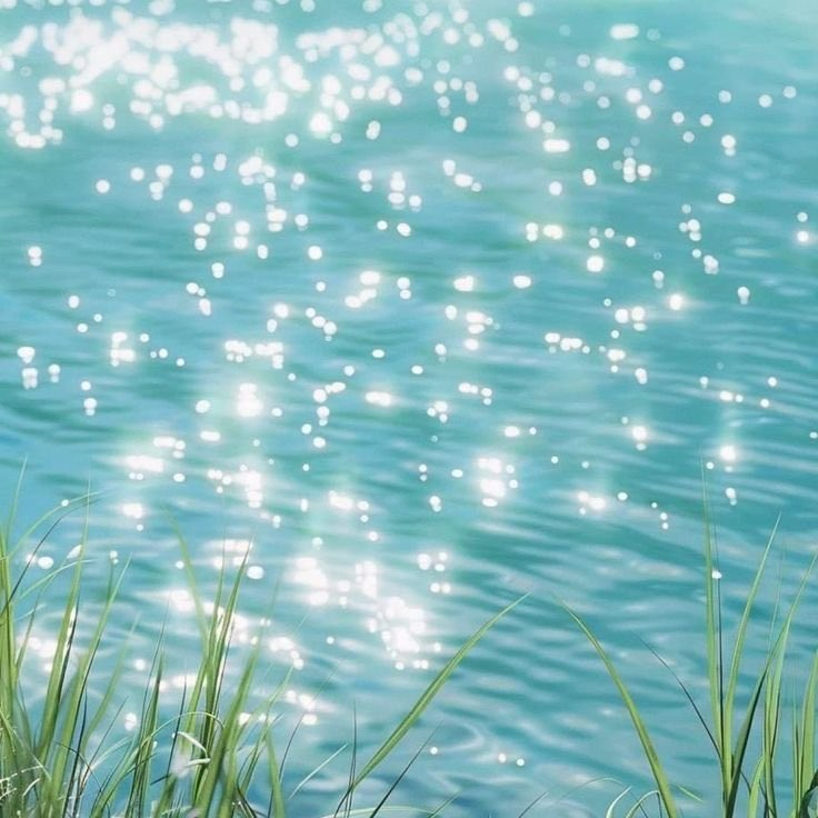 petalesblancs's tweet photo. shades of blue https://t.co/OM9j1mmwFx