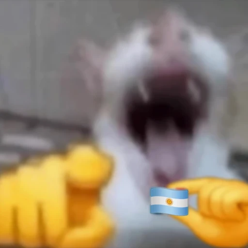 PlayForUp's tweet photo. @Argentina https://t.co/wM6CAGX2i0