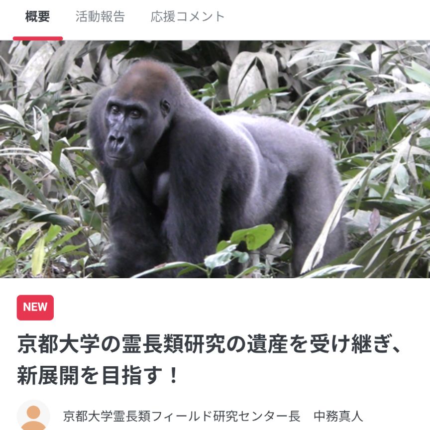 prifs2026's tweet photo. 【拡散希望！】
霊長類フィールド研究センターは、クラウドファンディング「京都大学の霊長類研究の遺産を受け継ぎ、新展開を目指す！ 」に挑戦します。京都大学のフィールド霊長類学の再出発への応援、よろしくお願いします！
#霊長類学 #京都大学 #クラウドファンディング
https://t.co/NKUTJYlIfH https://t.co/O6YZNPB7NK