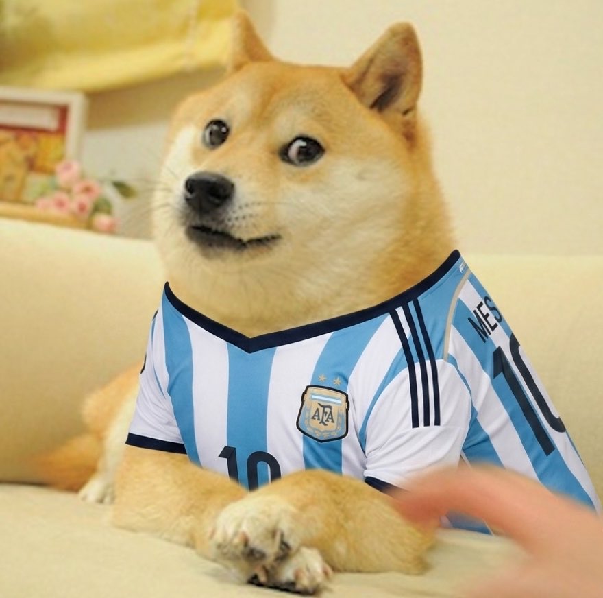 dogeofficialceo's tweet photo. The World Cup Final is here! ⚽️🏆

Who are you backing: Spain 🇪🇸 or Argentina 🇦🇷? https://t.co/yDswdLHr68