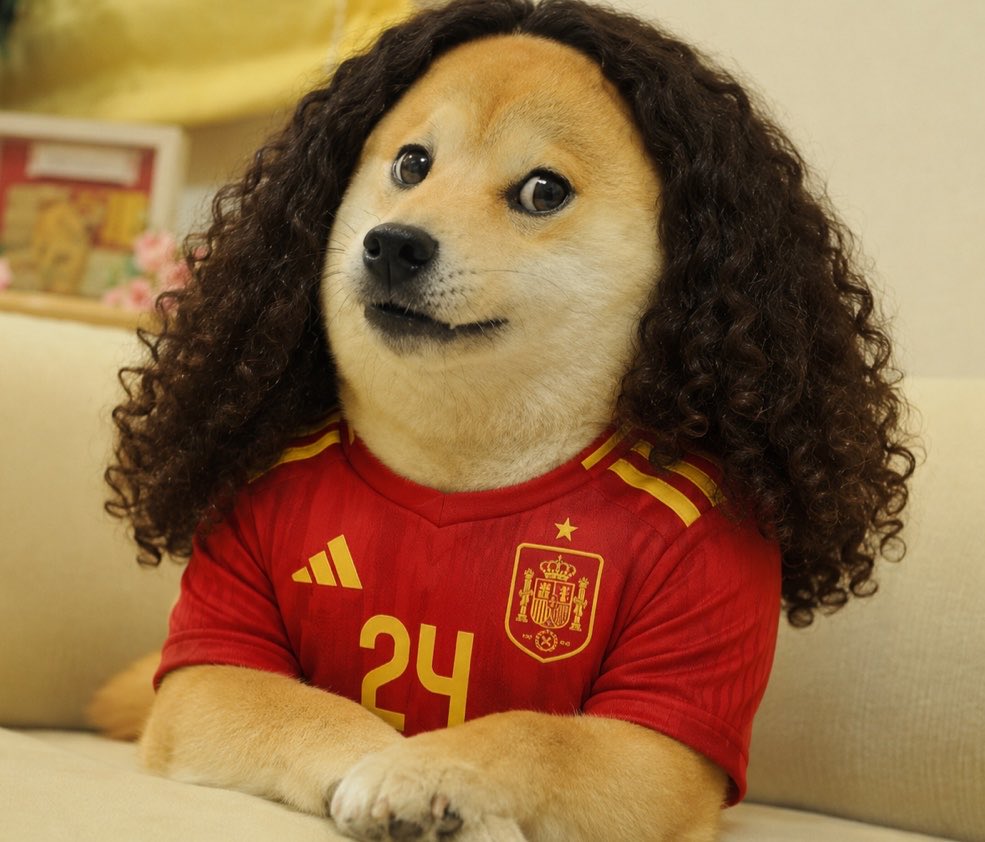 dogeofficialceo's tweet photo. The World Cup Final is here! ⚽️🏆

Who are you backing: Spain 🇪🇸 or Argentina 🇦🇷? https://t.co/yDswdLHr68