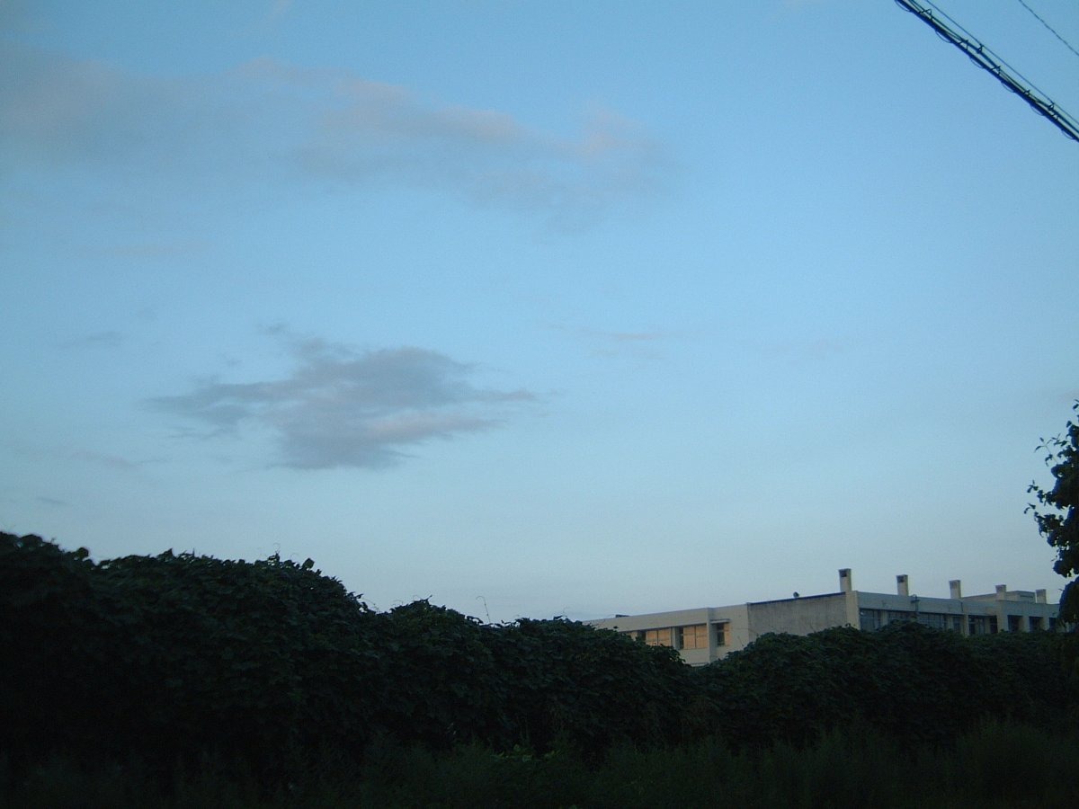 k__mouri's tweet photo. 金曜は会社が振替休日を取らせてくれて、ただいま4連休中の3日目^^　最近気が向くままに写真を撮り散らかしていたので、今日は終日データの整理とセレクト^^;　気付けば夕方。。。図書館へ^^ https://t.co/LvNvbnagWJ